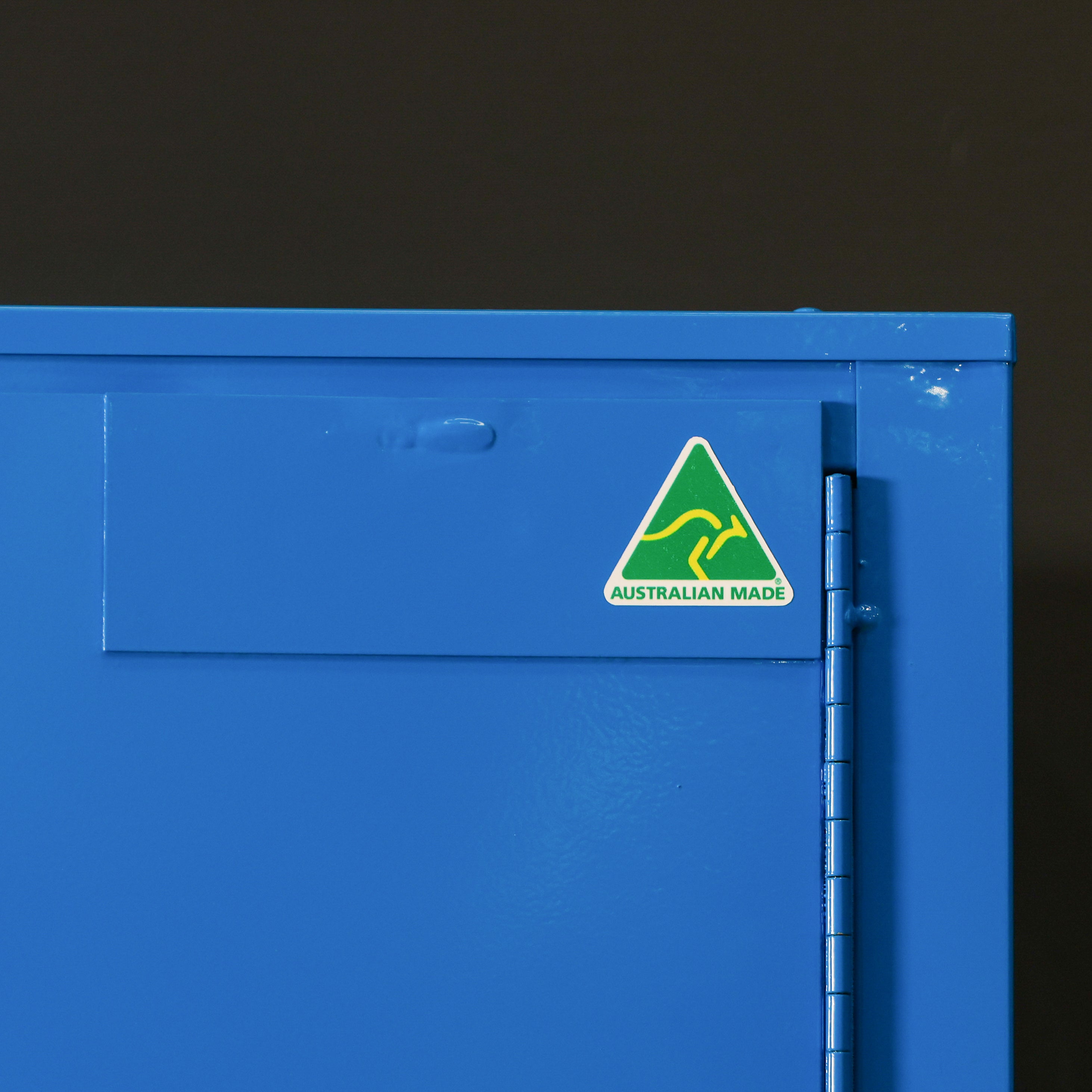 160L - Corrosive Substance Storage Cabinet