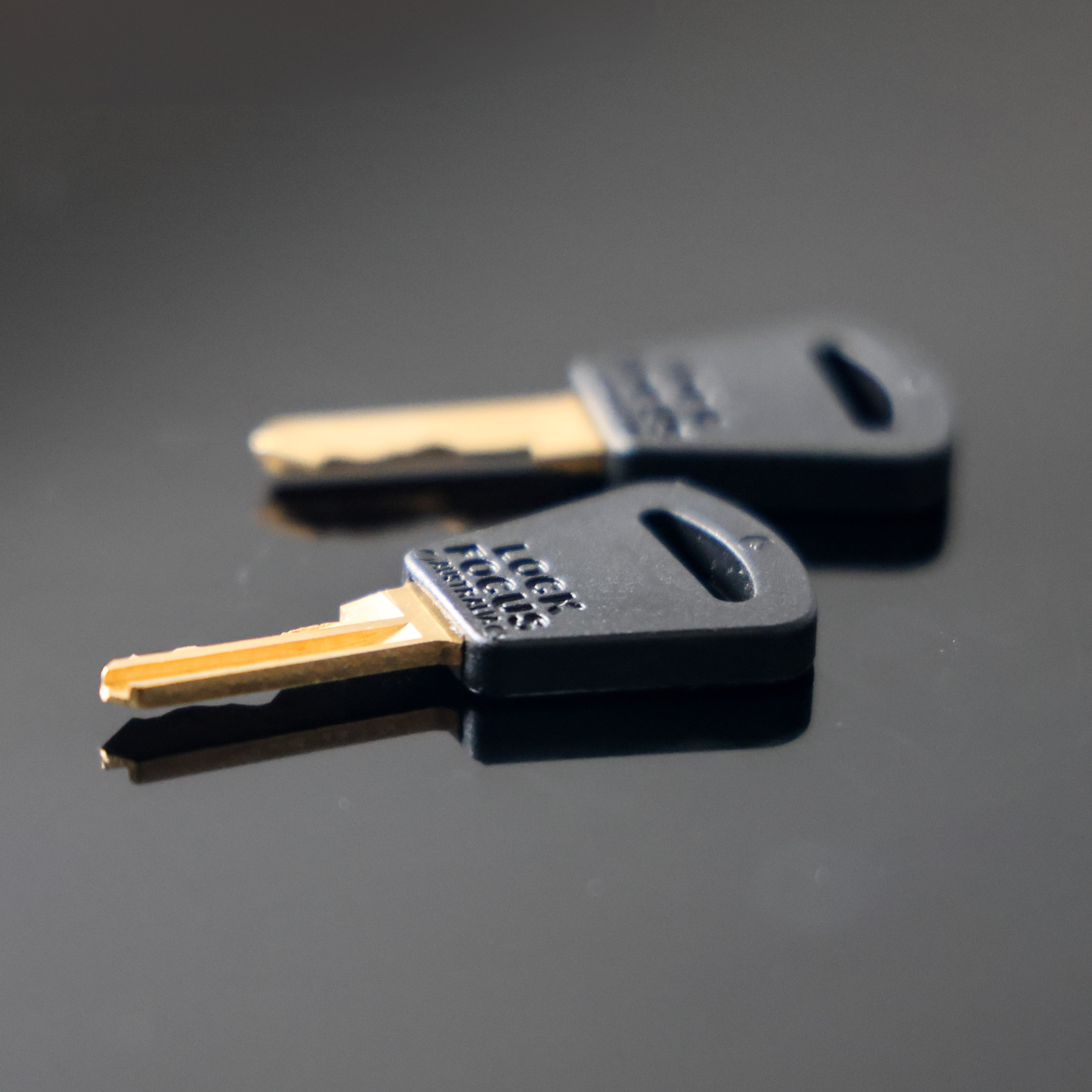 Standard Key for Safety Cabinet - 268