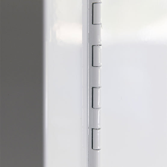 15L - Toxic Storage Cabinet