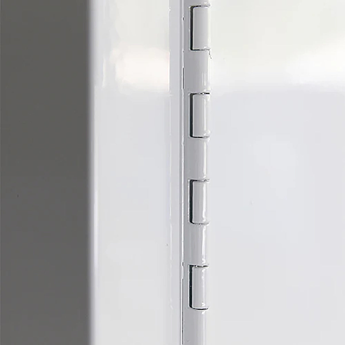 60L - Toxic Storage Cabinet