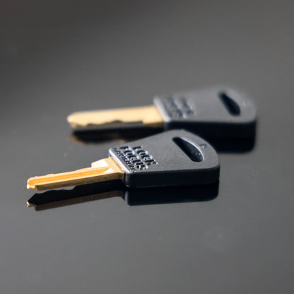 Standard Key for Safety Cabinet - 268