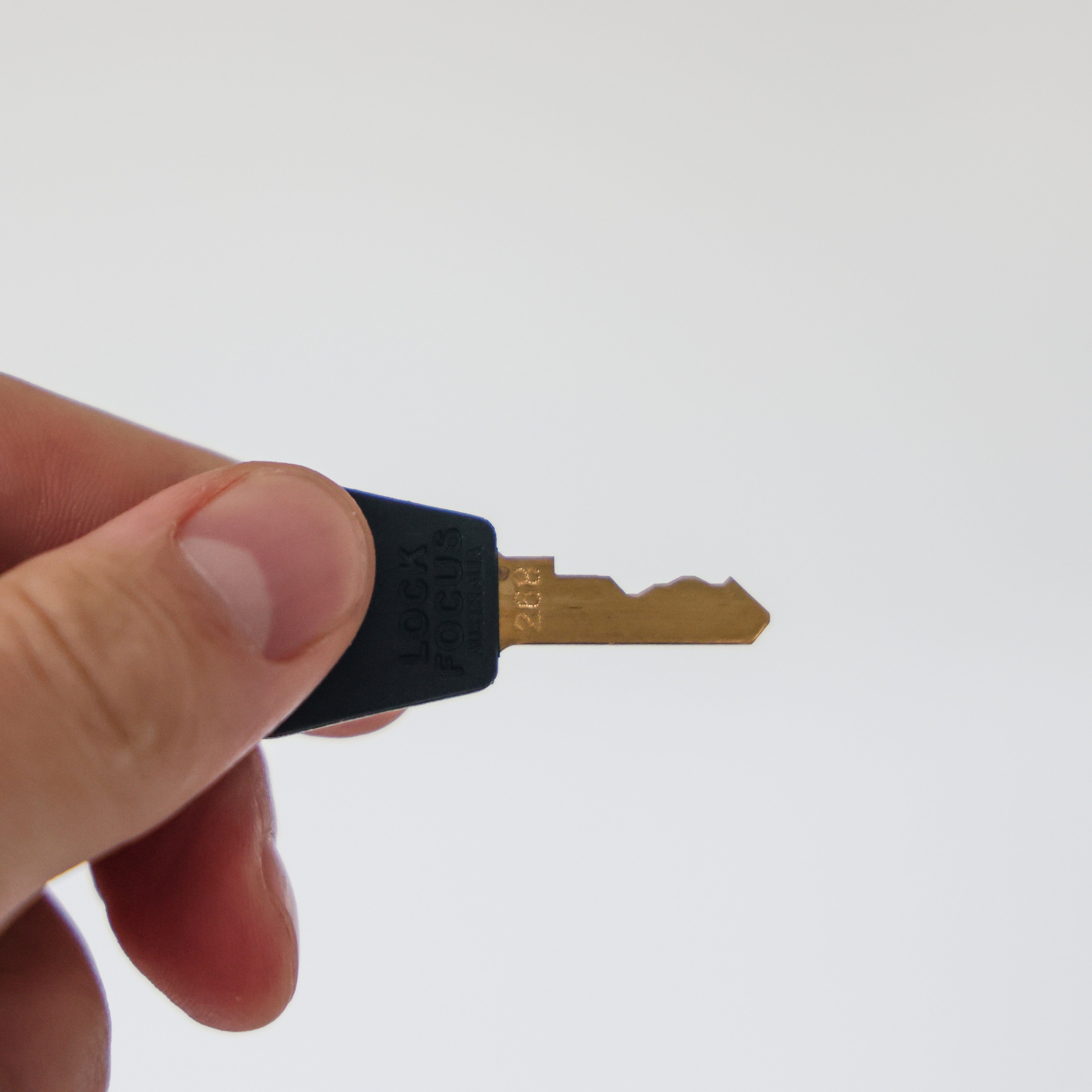 Standard Key for Safety Cabinet - 268